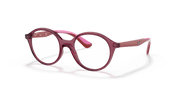 Clear Lenses, Polished Transparent Pink Frame