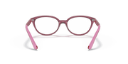 Clear Lenses, Polished Transparent Pink Frame