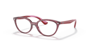 Clear Lenses, Polished Transparent Pink Frame