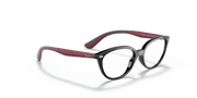 Clear Lenses, Polished Black Frame