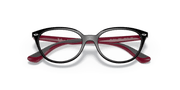 Clear Lenses, Polished Black Frame