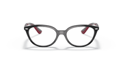 Clear Lenses, Polished Black Frame