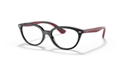 Clear Lenses, Polished Black Frame