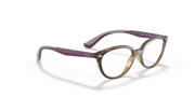 Clear Lenses, Polished Havana Frame