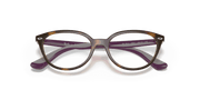 Clear Lenses, Polished Havana Frame