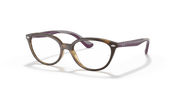 Clear Lenses, Polished Havana Frame