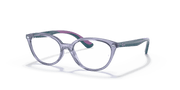 Clear Lenses, Polished Transparent Violet Frame