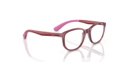 Clear Lenses, Polished Transparent Pink Frame