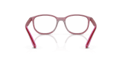 Clear Lenses, Polished Transparent Pink Frame