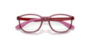 Clear Lenses, Polished Transparent Pink Frame