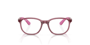 Clear Lenses, Polished Transparent Pink Frame