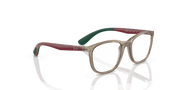 Clear Lenses, Polished Transparent Brown On Green Frame