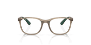 Clear Lenses, Polished Transparent Brown On Green Frame