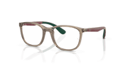 Clear Lenses, Polished Transparent Brown On Green Frame