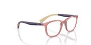 Clear Lenses, Polished Transparent Pink Frame