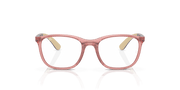 Clear Lenses, Polished Transparent Pink Frame