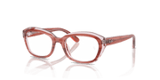 Clear Lenses, Polished Striped Pink On Transparent Pink Frame