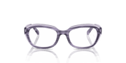 Clear Lenses, Polished Striped Violet On Transparent Violet Frame