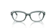 Clear Lenses, Polished Striped Green On Transparent Green Frame