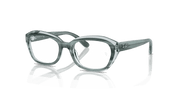 Clear Lenses, Polished Striped Green On Transparent Green Frame