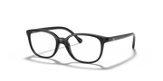 Clear Lenses, Polished Black Frame