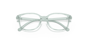 Clear Lenses, Polished Transparent Green Frame