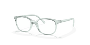 Clear Lenses, Polished Transparent Green Frame