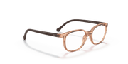 Clear Lenses, Polished Transparent Brown Frame