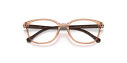 Clear Lenses, Polished Transparent Brown Frame