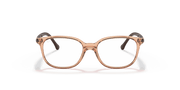 Clear Lenses, Polished Transparent Brown Frame