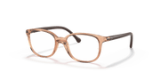 Clear Lenses, Polished Transparent Brown Frame