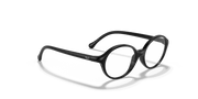 Clear Lenses, Polished Black Frame