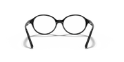 Clear Lenses, Polished Black Frame