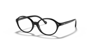 Clear Lenses, Polished Black Frame