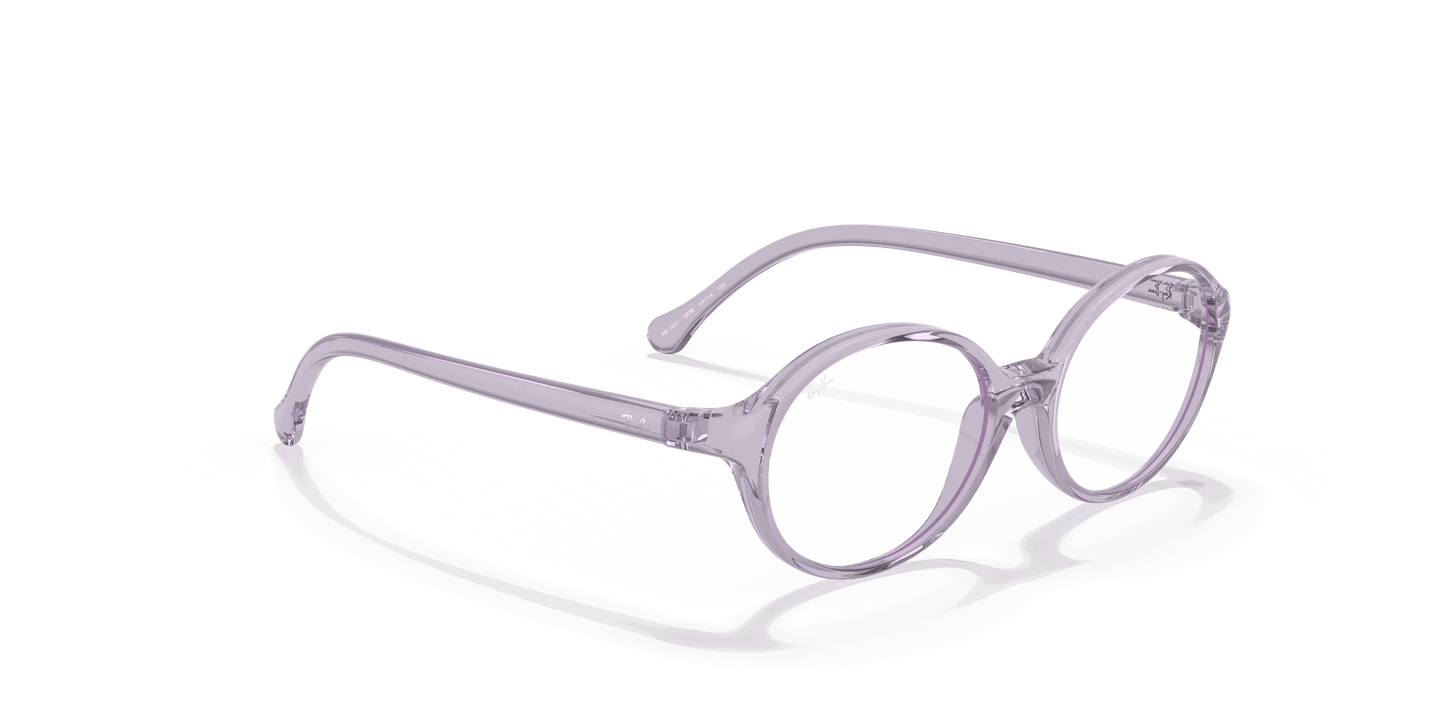 [Clear Lenses, Polished Transparent Violet Frame]
