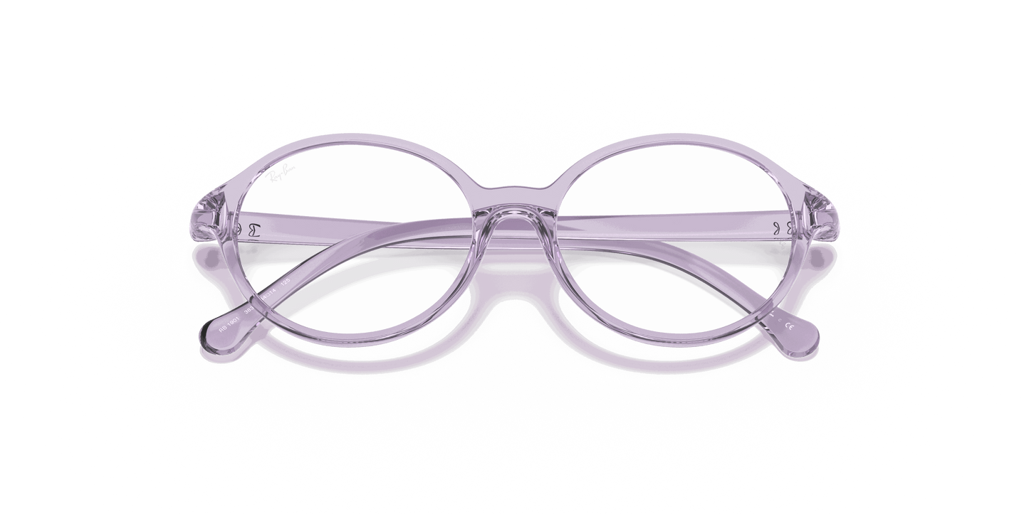 [Clear Lenses, Polished Transparent Violet Frame]