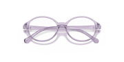 Clear Lenses, Polished Transparent Violet Frame