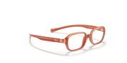 Clear Lenses, Polished Orange Frame