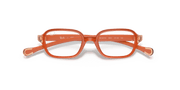 Clear Lenses, Polished Orange Frame