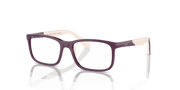 Clear Lenses, Polished Purple On Light Brown Frame