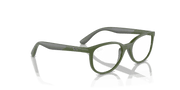 Clear Lenses, Polished Green On Grey Frame