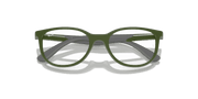 Clear Lenses, Polished Green On Grey Frame