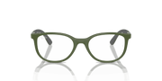 Clear Lenses, Polished Green On Grey Frame