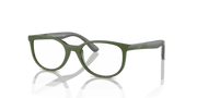 Clear Lenses, Polished Green On Grey Frame