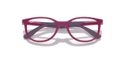 Clear Lenses, Polished Fuchsia Frame