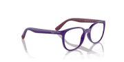 Clear Lenses, Polished Violet On Bordeaux Frame