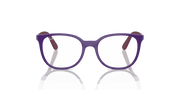 Clear Lenses, Polished Violet On Bordeaux Frame