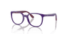 [Clear Lenses, Polished Violet On Bordeaux Frame]