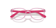 Clear Lenses, Polished Transparent Pink Frame