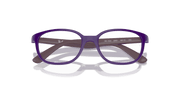 Clear Lenses, Polished Violet On Bordeaux Frame